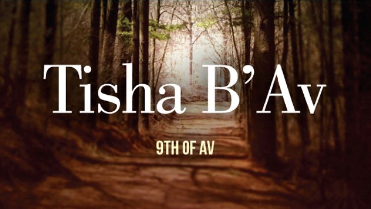 Howard Lupovitch on Tisha B’Av